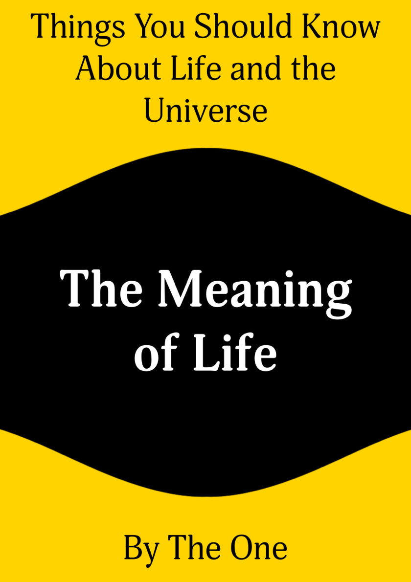 The Meaning of Life (Paperback)